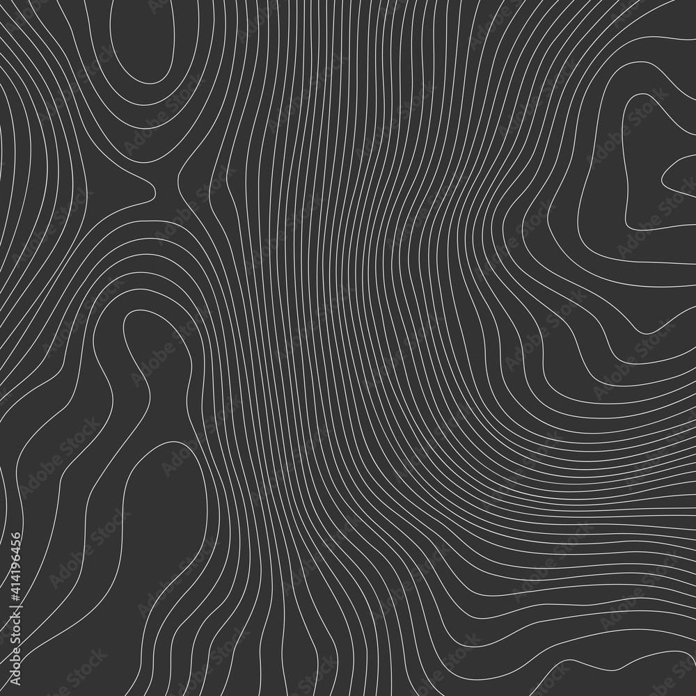 Aufkleber the stylized height of the topographic contour in lines and contours. the concept of a conditional g
