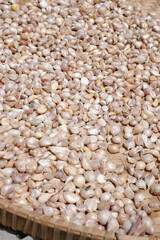 Traditional sun-dried garlic. garlic background 