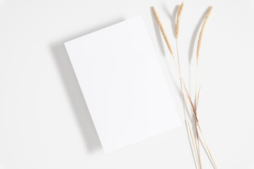 Black blank photo frame mockup and eucalyptus on white background. Flat lay, top view, copy space