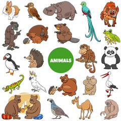 cartoon wild animal characters big set
