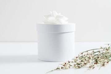 White round gift box on white background. Front view, mockup
