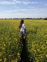 Fototapeta premium girl in field of flowers