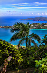 View of Atlantic Ocean and palm trees in Magens Bay, St. Thomas.