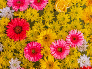 Flowers floating on water