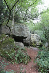 Eridge Rock formation, Sussex, British Isles