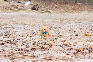 Lonely teddy bear in the middle of the sand in the park 