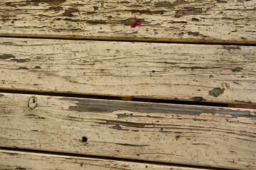 Yellow paint peeling off wooden fence 