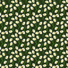 Seamless pattern, white flowers of strawberries on a dark background.