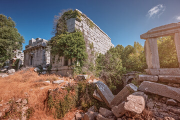 Ruins of a gymnasium and bath houses in the ancient city of Termessos in the Taurus Mountains in...