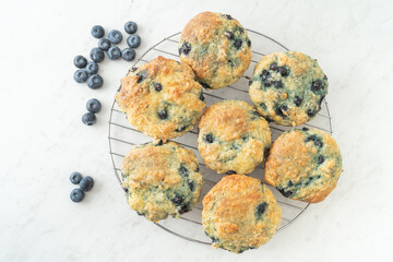 Homemade blueberry muffins freshly baked in the home kitchen.