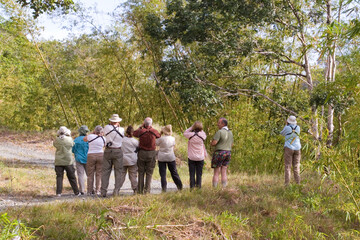 Caribbean - Tobago - Birders near Cuffie River Nature Retreat