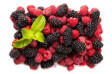 Raspberry, blackberry and mint leaf