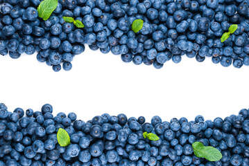 Fresh blueberry and mint isolated on white background.