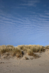 Dunes with snow. Julianadorp Northsea coast Netherlands. Winter