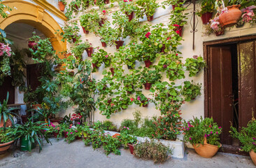 Fototapeta na wymiar Interior Garden in Cordoba