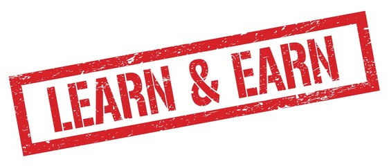 LEARN & EARN red grungy rectangle stamp.
