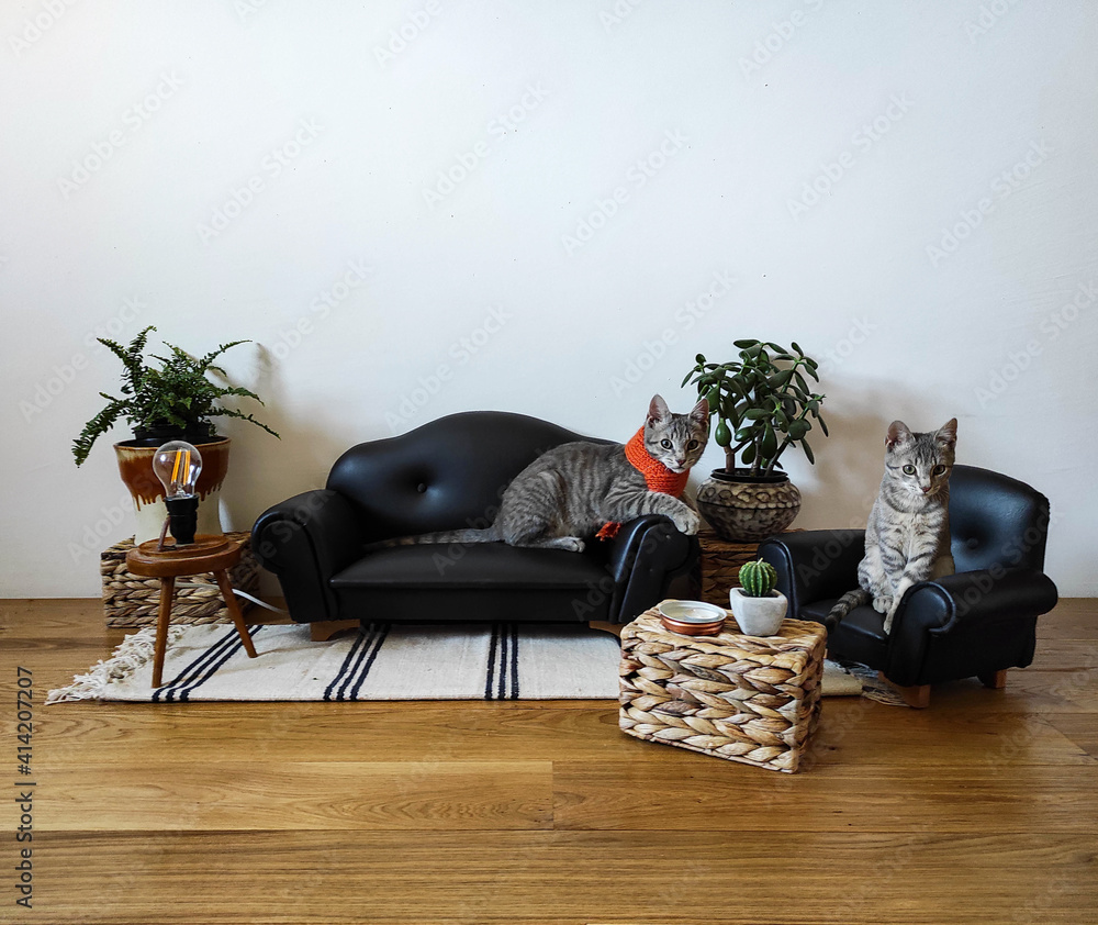 Wall mural Two small cats sit together in a small living room furnished with small furniture