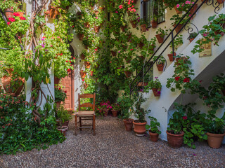 Interior Garden in Cordoba