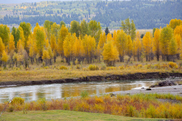 Colorful fall trees with a river