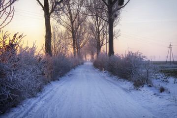 A field road covered with snow on a frosty morning.