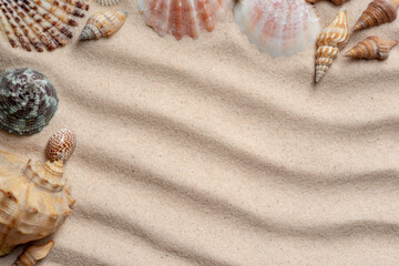 Seashells, on a background of sand. View from above. Flat lay with Copyspace in the center