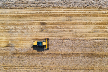 Aerial view of combine harvester is harvesting wheat at sunset in summer. Agriculture. Landscape with harvester working on the yellow wheat field. Top view of agricultural machine and ripe wheat