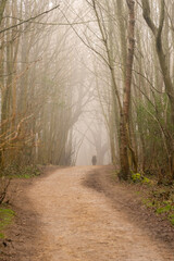 Walker appearing out of the mist