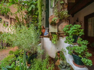 Interior Garden in Cordoba