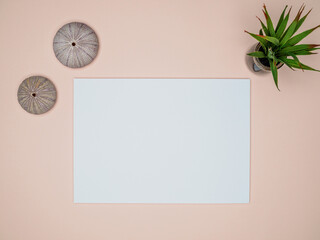 White card mockup with succulent and two sea urchin shells on coral color background. Workspace concept. Overhead view.