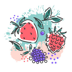 Berries : raspberries, blackberries, strawberries on an abstract background. Packaging design. Vector hand illustration.