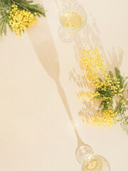 creative concept with yellow mimosa and green leaves and two glass of wine, with shadows on sunny background. Minimal flat lay. minimal back ground