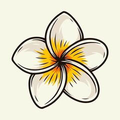 Colorful plumeria tropical flower