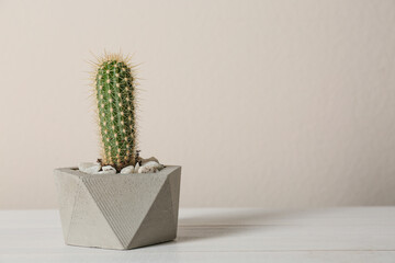 Beautiful tropical cactus plant in pot on white wooden table, space for text. House decor