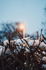 frost on branches with a light in background