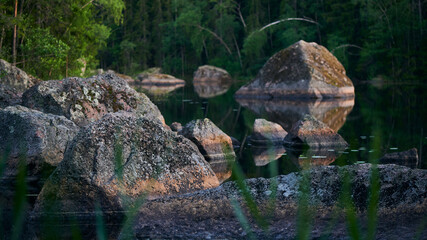 Fototapeta na wymiar typical Finnish landscape - a lake in a pine forest with huge boulders brought here during the Ice Age. Evening, dim light, strongly diffused lighting, selective focus