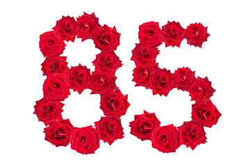 Numeral 85 made of red roses on a white isolated background. Element for decoration. eighty five. Red roses.