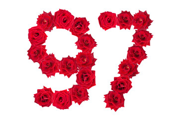 Numeral 97 made of red roses on a white isolated background. Element for decoration. ninety seven. Red roses.