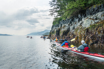 Canada, British Columbia. Sea kayakers paddle at low tide along the Vancouver Island shore on Johnstone Strait.