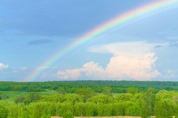 Summer landscape with colorful rainbows, green forest and rural field - 414218833
