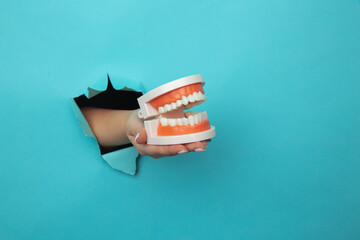 Woman hand showing a model of jaw out of a hole torn in paper wall. Tooth care concept.