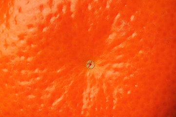 Orange background. Tangerine peel texture close up.