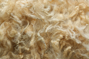Soft white wool texture as background, closeup