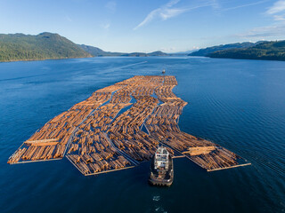 Canada, British Columbia, Campbell River, Aerial view of tugboat pushing boom of freshly cut logs toward Seymour Narrows along Vancouver Island on summer evening - obrazy, fototapety, plakaty