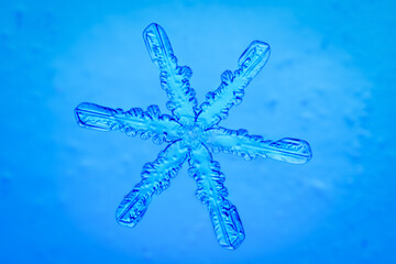 Macro shot of small snowflake against blue background