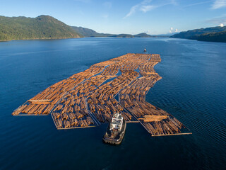 Canada, British Columbia, Campbell River, Aerial view of tugboat pushing boom of freshly cut logs toward Seymour Narrows along Vancouver Island on summer evening © Danita Delimont