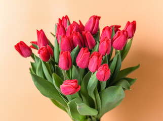 Obraz premium Close-up of large bouquet of red tulips in dewdrops-spring flowers for the holiday of March 8