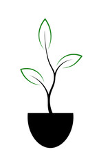 Line icon of a young plant with three leaves. Vector illustration isolated on white background.
