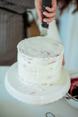 Young beautiful woman bakes a cake. Sweets. Confectionery.