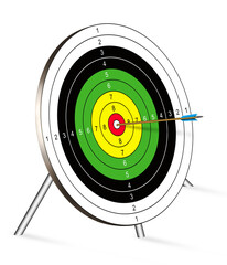 target for shooting on a white background