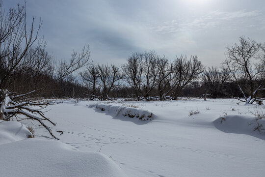 Winter River,  Poplar Creek , Elgin, Illinois